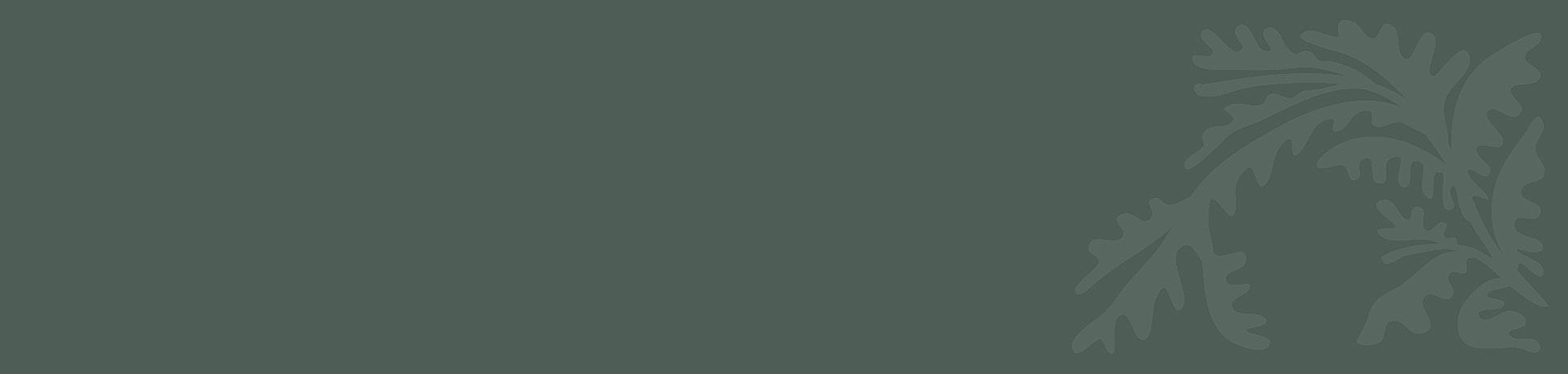 Abstract leaf design on dark background.