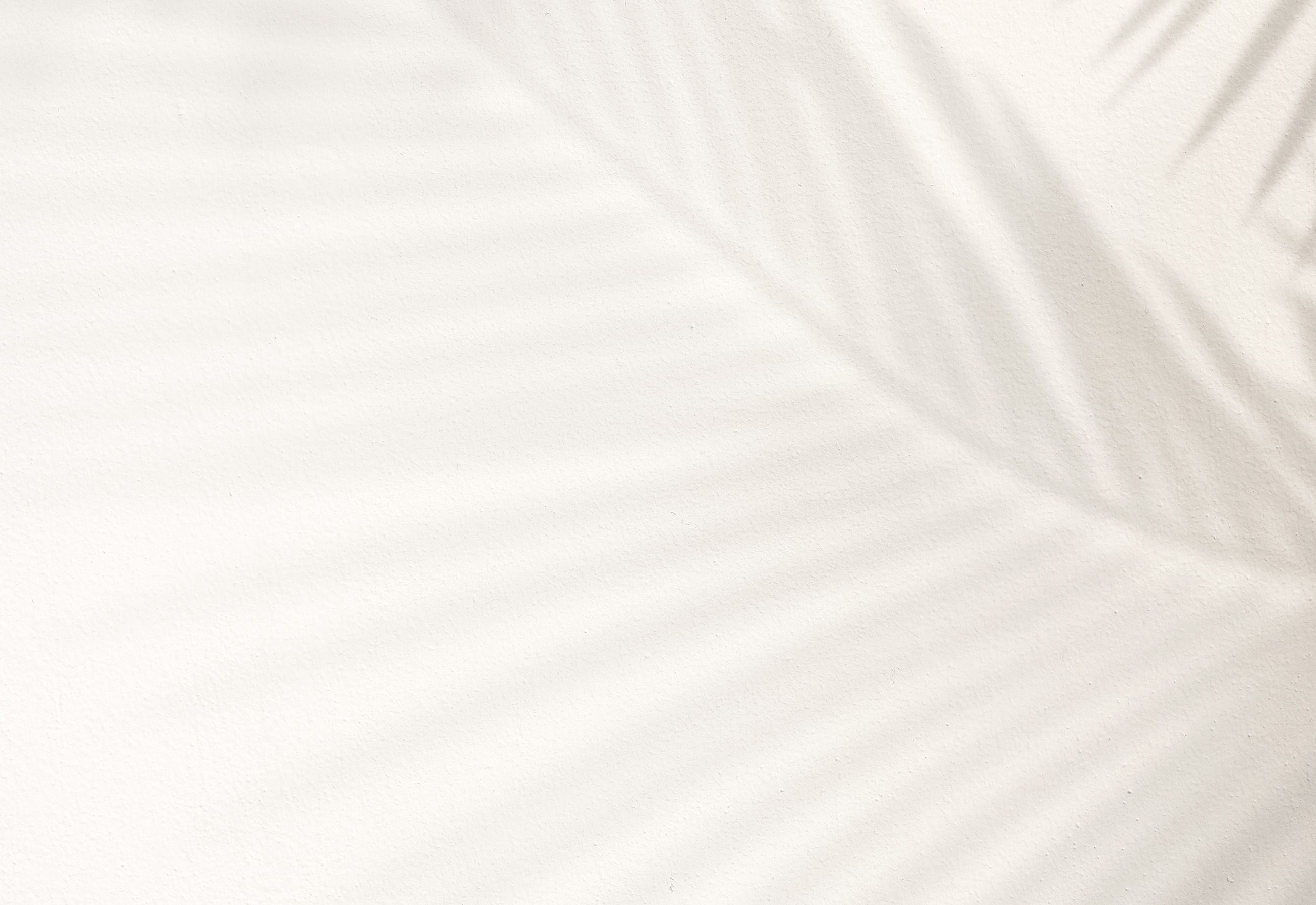 Soft shadows on a textured white surface.