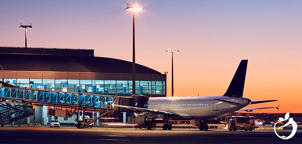 How to Avoid Jet Lag: Dr. Ellen’s Pro Tips!