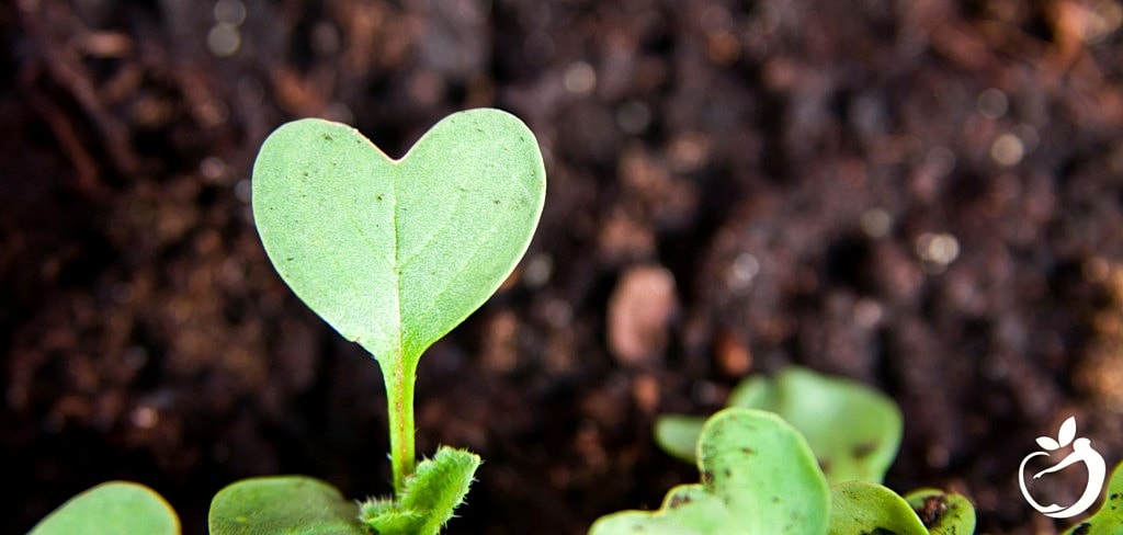 Loving Relationships: Essential Nourishment
