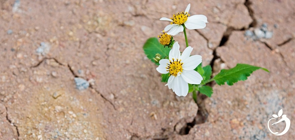 Tips for Success: Struggling To Make a Breakthrough? It Might Be Resistance