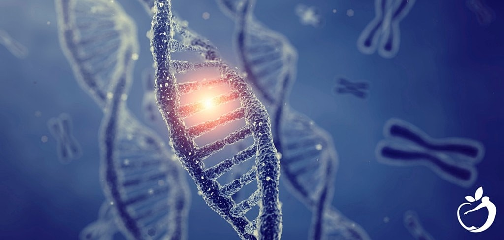 What Is MTHFR? All You Need to Know About Methylation and MTHFR