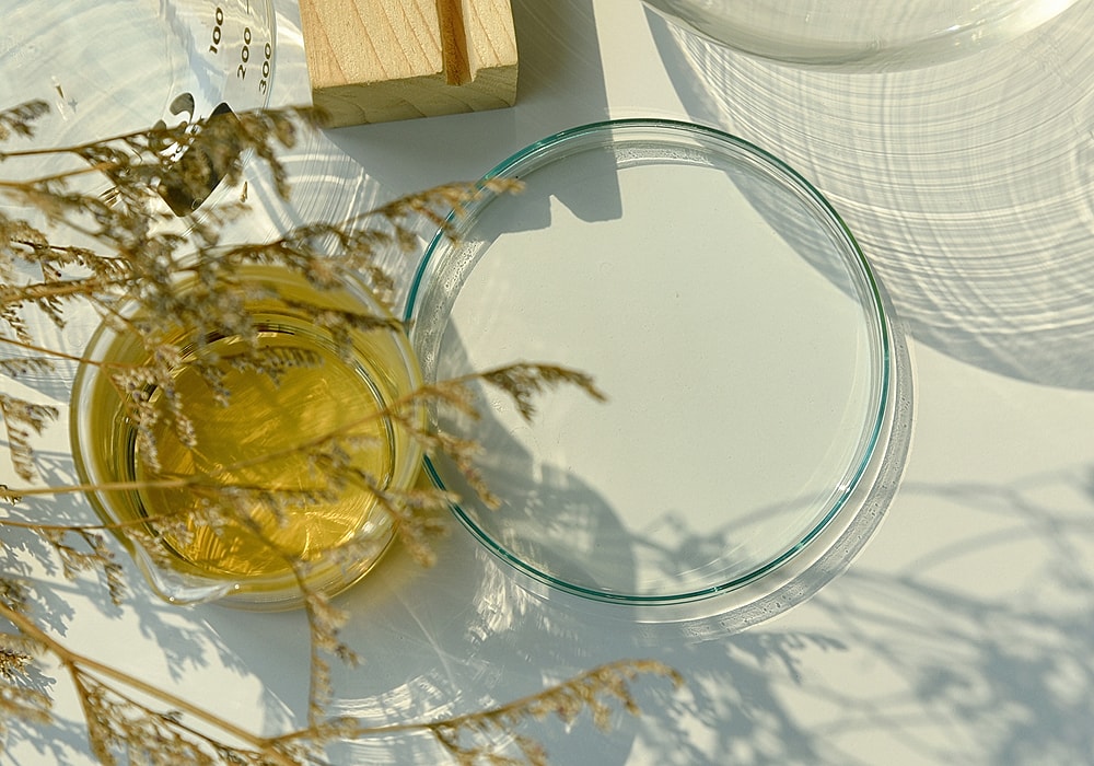 Glassware, yellow liquid, and dried flowers arrangement.